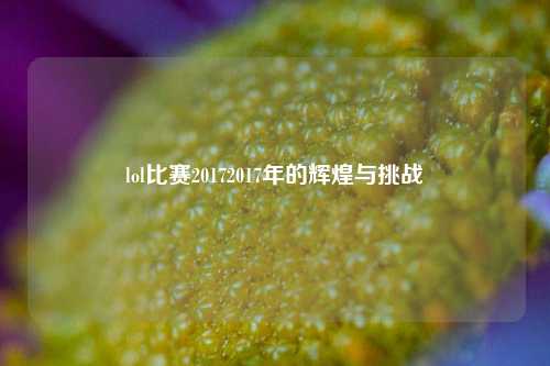 lol比赛20172017年的辉煌与挑战