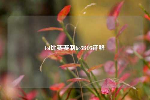 lol比赛赛制bo3BO3详解