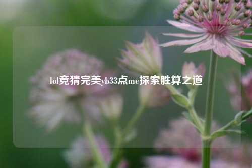 lol竞猜完美yb33点me探索胜算之道