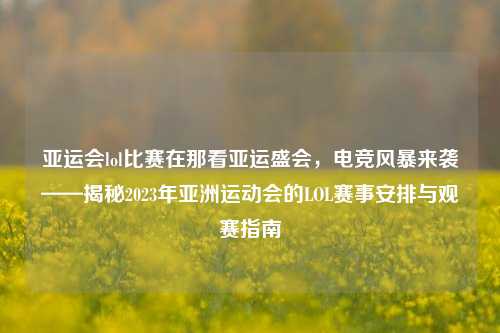 亚运会lol比赛在那看亚运盛会，电竞风暴来袭——揭秘2023年亚洲运动会的LOL赛事安排与观赛指南