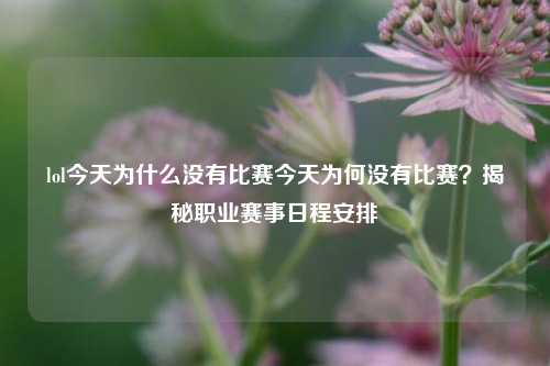 lol今天为什么没有比赛今天为何没有比赛？揭秘职业赛事日程安排