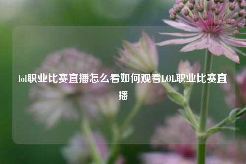 lol职业比赛直播怎么看如何观看LOL职业比赛直播
