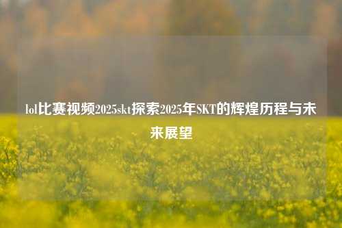 lol比赛视频2025skt探索2025年SKT的辉煌历程与未来展望