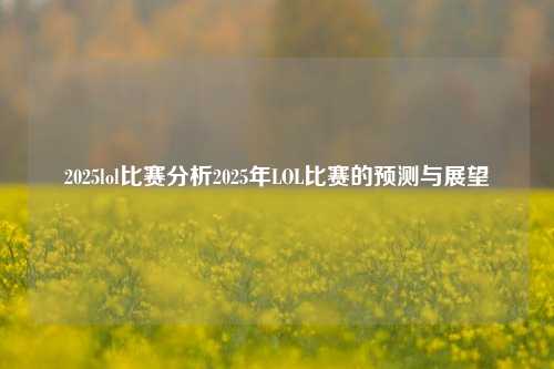 2025lol比赛分析2025年LOL比赛的预测与展望