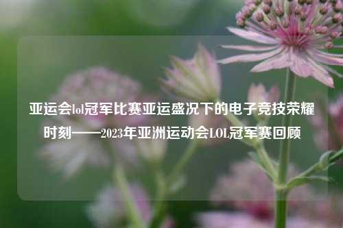 亚运会lol冠军比赛亚运盛况下的电子竞技荣耀时刻——2023年亚洲运动会LOL冠军赛回顾