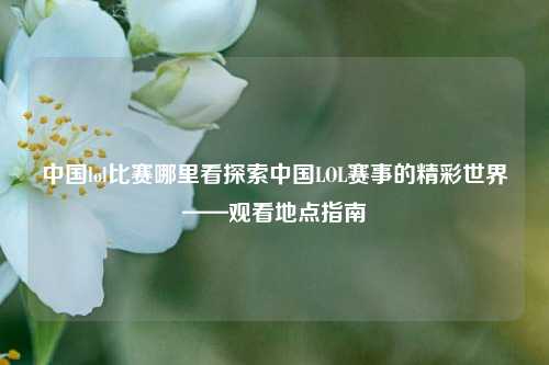 中国lol比赛哪里看探索中国LOL赛事的精彩世界——观看地点指南