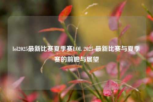 lol2025最新比赛夏季赛LOL 2025 最新比赛与夏季赛的前瞻与展望