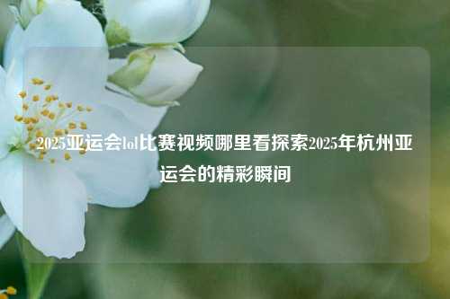 2025亚运会lol比赛视频哪里看探索2025年杭州亚运会的精彩瞬间