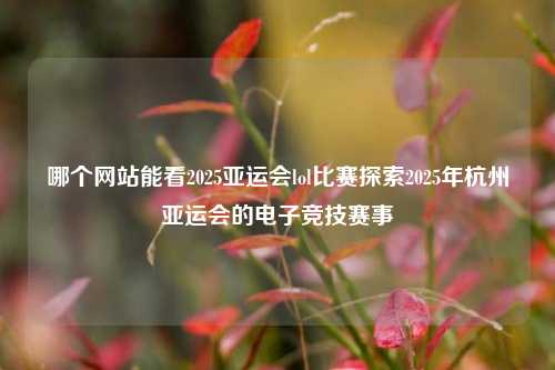 哪个网站能看2025亚运会lol比赛探索2025年杭州亚运会的电子竞技赛事