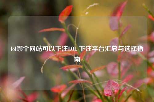 lol哪个网站可以下注LOL 下注平台汇总与选择指南