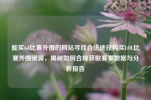 能买lol比赛外围的网站寻找合法途径购买LOL比赛外围资源，揭秘如何合规获取赛事数据与分析报告