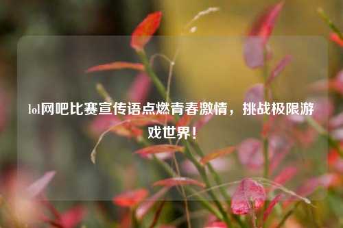 lol网吧比赛宣传语点燃青春激情，挑战极限游戏世界！