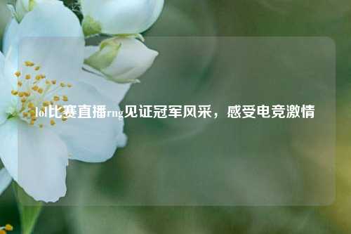 lol比赛直播rng见证冠军风采，感受电竞激情