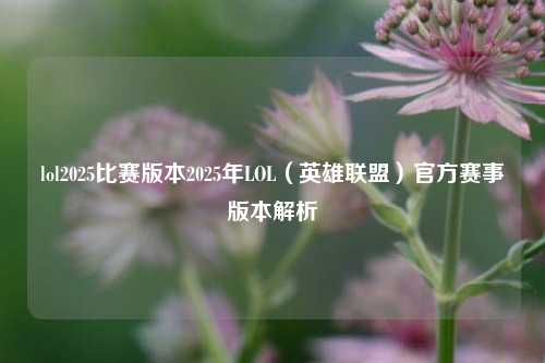 lol2025比赛版本2025年LOL（英雄联盟）官方赛事版本解析