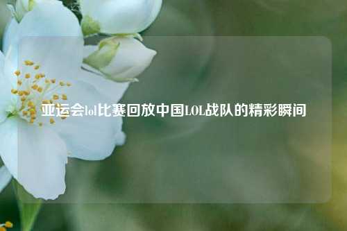亚运会lol比赛回放中国LOL战队的精彩瞬间