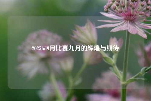 2025lol9月比赛九月的辉煌与期待
