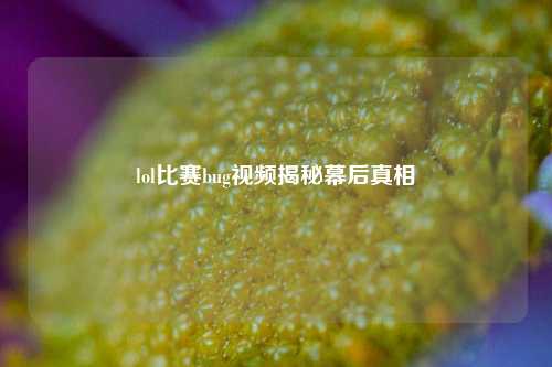 lol比赛bug视频揭秘幕后真相