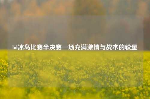lol冰岛比赛半决赛一场充满激情与战术的较量