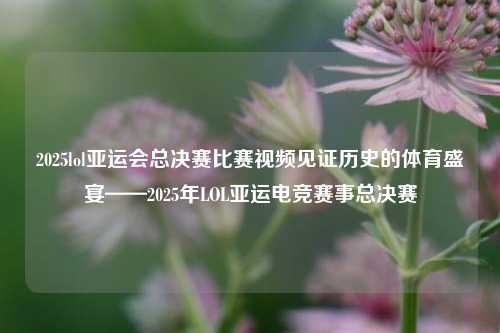 2025lol亚运会总决赛比赛视频见证历史的体育盛宴——2025年LOL亚运电竞赛事总决赛