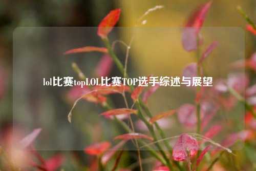 lol比赛topLOL比赛TOP选手综述与展望