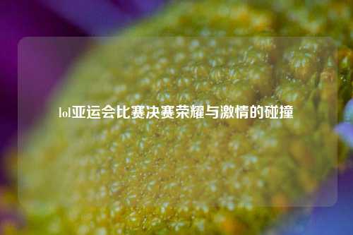 lol亚运会比赛决赛荣耀与激情的碰撞