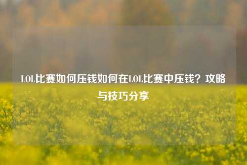 LOL比赛如何压钱如何在LOL比赛中压钱？攻略与技巧分享