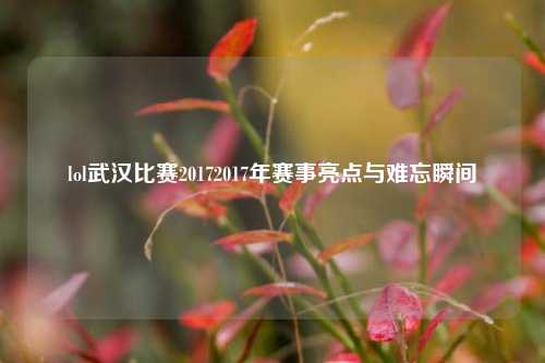lol武汉比赛20172017年赛事亮点与难忘瞬间