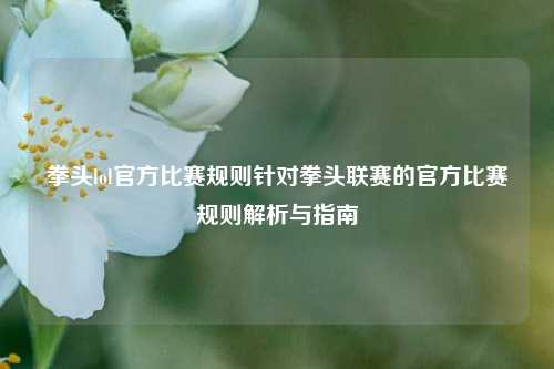 拳头lol官方比赛规则针对拳头联赛的官方比赛规则解析与指南