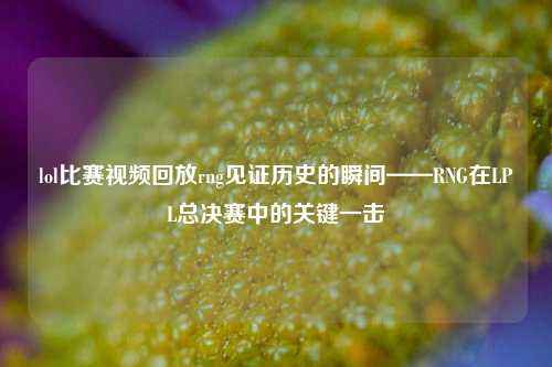 lol比赛视频回放rng见证历史的瞬间——RNG在LPL总决赛中的关键一击