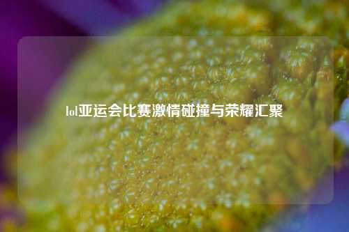 lol亚运会比赛激情碰撞与荣耀汇聚