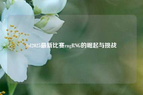 lol2025最新比赛rngRNG的崛起与挑战