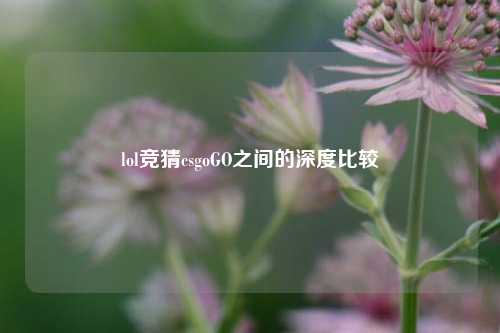 lol竞猜csgoGO之间的深度比较