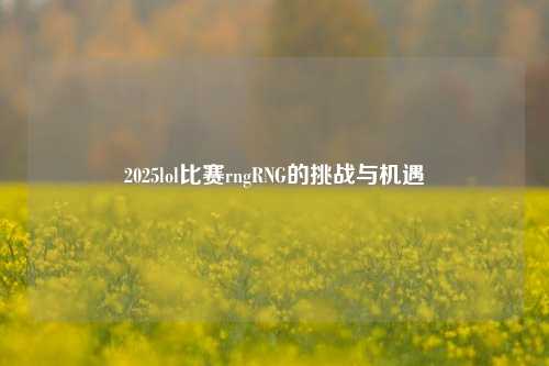 2025lol比赛rngRNG的挑战与机遇