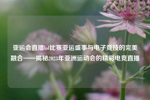亚运会直播lol比赛亚运盛事与电子竞技的完美融合——揭秘2023年亚洲运动会的精彩电竞直播