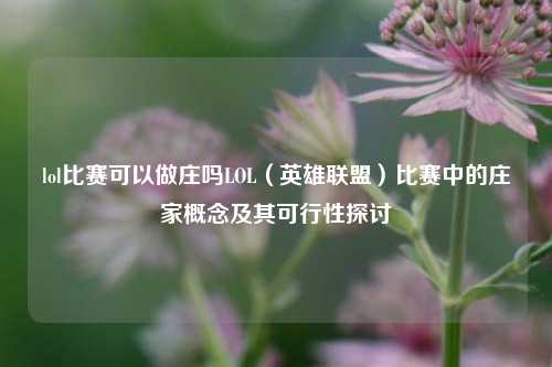 lol比赛可以做庄吗LOL（英雄联盟）比赛中的庄家概念及其可行性探讨