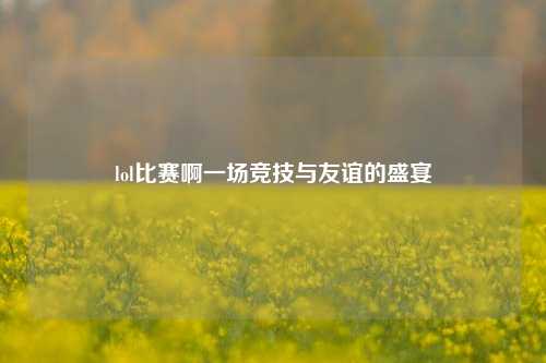 lol比赛啊一场竞技与友谊的盛宴