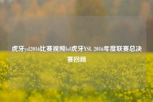 虎牙ysl2016比赛视频lol虎牙YSL 2016年度联赛总决赛回顾