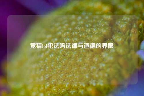 竞猜lol犯法吗法律与道德的界限