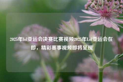 2025年lol亚运会决赛比赛视频2025年Lol亚运会在即，精彩赛事视频即将呈现