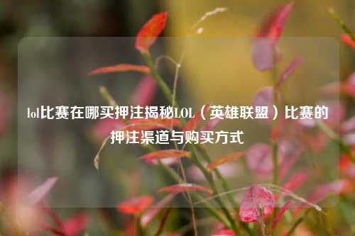 lol比赛在哪买押注揭秘LOL（英雄联盟）比赛的押注渠道与购买方式