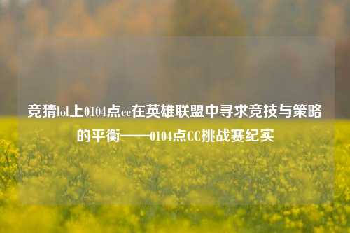 竞猜lol上0104点cc在英雄联盟中寻求竞技与策略的平衡——0104点CC挑战赛纪实