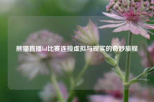 熊猫直播lol比赛连接虚拟与现实的奇妙旅程