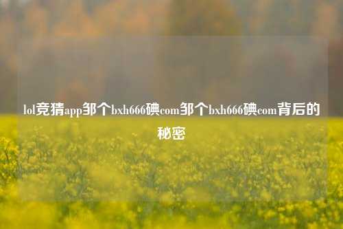 lol竞猜app邹个bxh666碘com邹个bxh666碘com背后的秘密