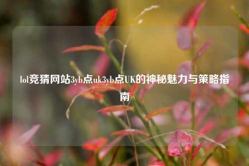 lol竞猜网站3yb点uk3yb点UK的神秘魅力与策略指南