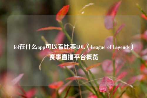 lol在什么app可以看比赛LOL（League of Legends）赛事直播平台概览
