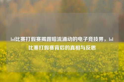 lol比赛打假赛揭露暗流涌动的电子竞技界，lol比赛打假赛背后的真相与反思