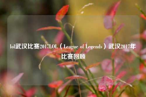 lol武汉比赛2017LOL（League of Legends）武汉2017年比赛回顾