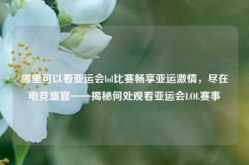 哪里可以看亚运会lol比赛畅享亚运激情，尽在电竞盛宴——揭秘何处观看亚运会LOL赛事