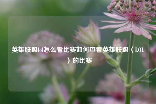 英雄联盟lol怎么看比赛如何查看英雄联盟（LOL）的比赛