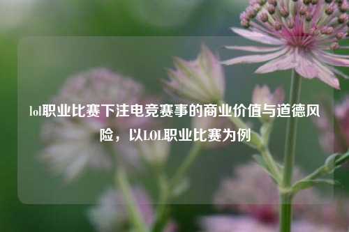 lol职业比赛下注电竞赛事的商业价值与道德风险，以LOL职业比赛为例